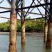Tiang tiang  jembatan 2 pulau Dompak yang keropos, foto : alam/Detak.media