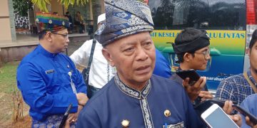 Ketua Dewan Pimpinan Daerah (DPD) Partai Gerindra Kepulauan Riau, Syahrul, foto : Alam/detak.media