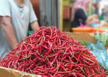 Cabai merah yang dijual di Pasar Bintan Center, Tanjungpinang, f : mael/detak.media