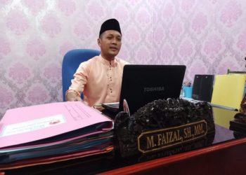 Pengamat Anak Kepulauan Riau, Muhammad Faisal, f : maep/detak.media
