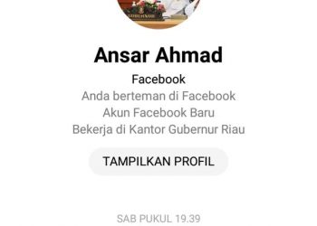 Akun Facebook Palsu Mengatasnamakan Ansar Ahmad, f : ist