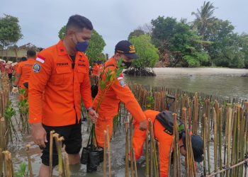 Personil Basarnas Tanjungpinang saat melakukan penanaman bibit bakau di Perairan Dompak, f : ist