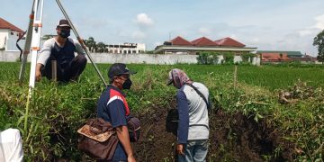 Arkeolog BPCB Trowulan saat menggali sawah yang dibawahnya terdapat struktur tumpukan bata merah, f : Dani elang Sakti/detak.media