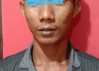 Pelaku AN yang ditangkap Tim Satreskrim Polresta Tanjungpinang, f : ist