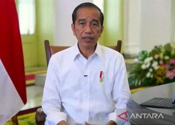 Tangkapan layar - Presiden Joko Widodo dalam keterangan pers daring dari Istana Kepresidenan Bogor, Jawa Barat, Selasa (17/5/2022). ANTARA/Indra Arief/am.