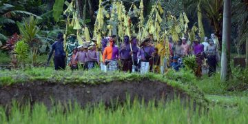 Warga yang berhias warna-warni berjalan melewati kawasan persawahan dengan membawa berbagai sarana upacara saat tradisi Ngerebeg di Desa Tegallalang, Gianyar, Bali, Rabu (13/7/2022). Tradisi Ngerebeg yang ditetapkan sebagai Warisan Budaya Tak Benda oleh Kementerian Pendidikan, Kebudayaan, Riset, dan Teknologi Republik Indonesia tersebut ramai disaksikan wisatawan mancanegara. ANTARA FOTO/Nyoman Hendra Wibowo/tom. (Dok. ANTARA FOTO/Nyoman Hendra Wibowo)