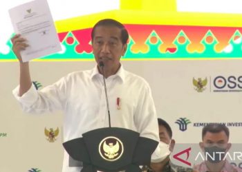Tangkapan layar - Presiden Jokowi dalam acara Pemberian Nomor Induk Berusaha (NIB) Pelaku Usaha Mikro dan Kecil (UMK) Perseorangan di Jakarta, Rabu (13/7). (ANTARA/Indra Arief)