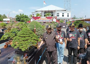 Walikota Blitar Santoso saat meninjau pameran dan kontes bonsei, foto : Dani ES/detak.media