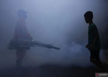 Petugas Suku Dinas Kesehatan Jakarta Selatan melakukan pengasapan (fogging) untuk membasmi nyamuk Aedes aegypti pembawa virus penyebab demam berdarah di Kelurahan Petukangan Utara, Jakarta, Kamis (7/7/2022). Wakil Menteri Kesehatan Dante Saksono mengungkap hingga akhir Juni 2022, total secara kumulatif kasus demam berdarah dengue sudah mencapai 52.313 orang, 448 di antaranya meninggal dunia tersebar di 451 kabupaten atau kota di 34 provinsi. ANTARA FOTO/Subur Atmamihardja/wsj/hp.