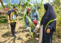 HA IPB saat berkunjung ke Bintan, foto : ist