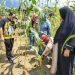 HA IPB saat berkunjung ke Bintan, foto : ist