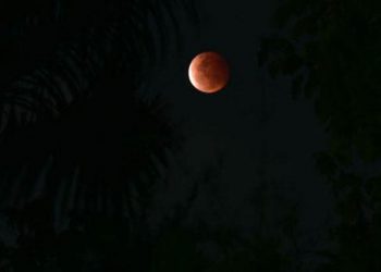 Fenomena gerhana bulan terlihat dari Pasuruan, Jawa Timur 26 Mei 2021. Fase total gerhana bulan supermoon ini berlangsung kurang lebih selama 14 menit. TEMPO/Aris Novia Hidayat