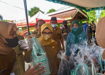 Bupati Blitar Rini Syarifah, saat melihat salah satu produk UMKM di Desa Jatitengah, foto: Dani ES/detak.media