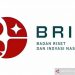 Logo baru Badan Riset dan Inovasi Nasional (BRIN) yang diluncurkan pada peringatan Hari Kebangkitan Teknologi Nasional (Hakteknas) ke-26, pada Selasa (10/8/2021). ANTARA/HO-Humas BRIN/am.