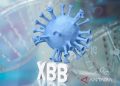 Ilustrasi - Varian virus covid xbb. ANTARA/Shutterstock/pri.