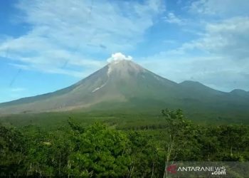 Tim SAR Gabungan melihat jalur aliran lahar dan Awan Panas Guguran (APG) Gunung Semeru di Dusun Kajar Kuning, Desa Sumberwuluh, Lumajang, Jawa Timur, Senin (5/12/2022) (ANTARA FOTO/Umarul Faruq/tom.)