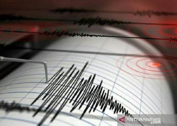 Seismograf gempa bumi. ANTARA/Shutterstock/pri