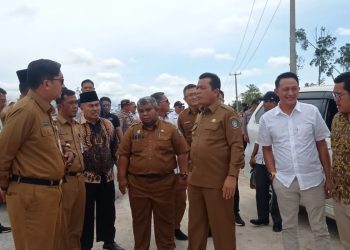 Gubernur Kepri Amsar Ahmad saat meninjau jembatan Semala Kelarik-Batubi yang rusak akibat banjir (foto : ist)