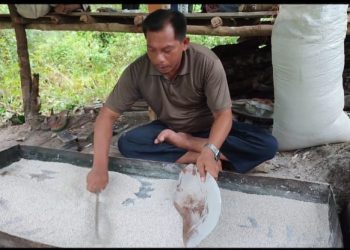 Kurniawan saat melakukan proses sangrai mentahan sagu, hingga menjadi sagu butir (foto : Zaki/detak.media)