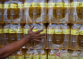 Arsip foto - Petugas melakukan persiapan untuk pengiriman minyak goreng Minyakita yang telah dikemas dalam kontainer ke Indonesia bagian timur, di Pelabuhan Tanjung Priok, Jakarta, Kamis (11/8/2022). ANTARA FOTO/Akbar Nugroho Gumay/tom/aa.