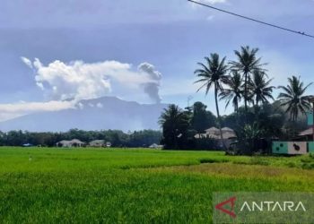 Gunung Marapi, Sumatera Barat, mengalami erupsi pada Kamis siang (12/1/2023). (ANTARA)