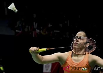 Pebulu tangkis putri India Saina Nehwal (ANTARA FOTO/Hafidz Mubarak A)