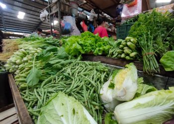 Sejumlah Harga Sayur di Pasar Bincen Tanjungpinang Mengalami Kenaikan Harga, foto: Mael/detak.media