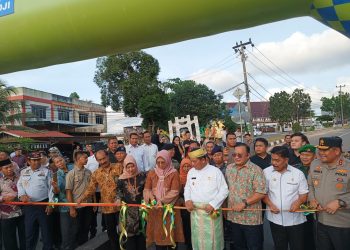 Ansar Ahmad Bersama FKPD Provinsi Kepri saat Meresmikan flyover Basuki Rahmat-Dompak Tanjungpinang, foto: Mael/detak.media