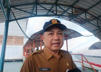 Kadishub Kepri, Junaidi di Pelabuhan SBP Tanjungpinang, foto: Mael/detak.media