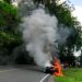 Mobil Suzuki Baleno Warna Merah saat Terbakar di Jalan Ahmad Yani Tanjungpinang, foto: ist