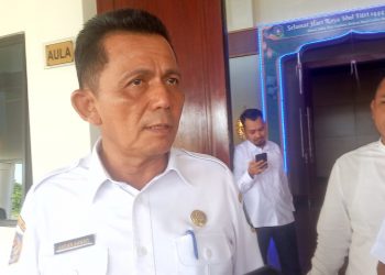 Gubernur Kepri, Ansar Ahmad, foto: ist