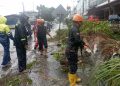 Petugas BPBD Tanjungpinang saat Mengevakuasi Pohon Tumbang di Jalan Makam Pahlawan, foto: ist