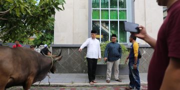 Sekdako Tanjungpinang, Zulhidayat, secara simbolis menyerahkan sapi kurban ASN Pemko, foto: ist/doc.prokompim/detak.media