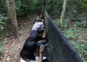 Beberapa wisatawan tengah menikmati sensasi "Birdwatching" di Taman Wisata Alam Kerandangan Lombok, Minggu (18/6/2023), foto: kemenparekraf.go.id