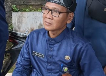 Kepala Dinas Komunikasi dan Informatika Kota Tanjungpinang,Teguh Susanto, foto: ist