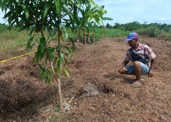 Lokasi Penemuan Tengkorak di Jalan Sei Timun Kota Tanjungpinang, foto: Mael/detak.media