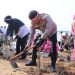 Kapolresta Tanjungpinang, Kombes Ompusunggu saat Menanam Pohon Mangrove di Pesisir Dompak, foto: Mael/detak.media