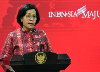 Menkeu Sri Mulyani (Foto: Humas Setkab/Rahmat)