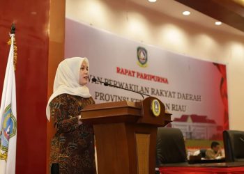 Perwakilan Fraksi Demokrat DPRD Kepri, Deby Maryanti saat menyampaikan pandangan terhadap RUED, foto: ist