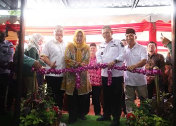 Peresmian Rumah Layanan Singgah Insan Kepri Sehat "Mahligai Keris" di Perumahan Kartini No 29 - 30 Sei Harapan, Kecamatan Sekupang Kota Batam, Foto: Diskominfo Kepri