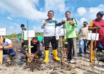 Penanaman mangrove dalam rangka peringatan Hari Ulang Tahun ke-78 Kemerdekaan Republik Indonesia di Kelurahan Setokok, Kecamatan Bulang, Kota Batam, Foto: Biro Adpim