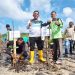 Penanaman mangrove dalam rangka peringatan Hari Ulang Tahun ke-78 Kemerdekaan Republik Indonesia di Kelurahan Setokok, Kecamatan Bulang, Kota Batam, Foto: Biro Adpim