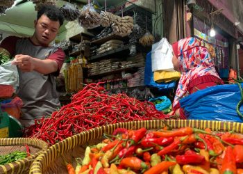 Riski, seorang Pedagang Cabai di Pasar Bintan Center Tanjungpinang, foto: Mael/detak.media