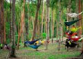 Suasana Alam di Panbil Nature Reserve Batam, foto: instagram/Panbil Nature Reserve