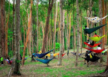 Suasana Alam di Panbil Nature Reserve Batam, foto: instagram/Panbil Nature Reserve