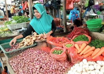 Harga Bawang di Pasar Bintan Center Tanjungpinang Mengalami Kenaikan, foto: Mael/detak.media