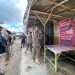 Satpol PP Tanjungpinang saat Membongkar Bangunan Liar di Jalan Bandara, foto: Mael/detak.media