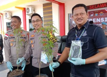 Polres Bintan saat Melakukan Konferensi Pers Penangkapan Tersangka AA, foto: Mael/detak.media