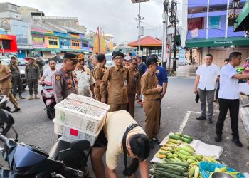 Pemko Tanjungpinang saat Melakukan Penertiban Terhadap PKL Lorong Gambir, foto: Mael/detak.media