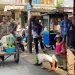 Petugas Satpol PP saat Menertibkan PKL di kawasan Jalan Gambir Tanjungpinang, foto: Mael/detak.media